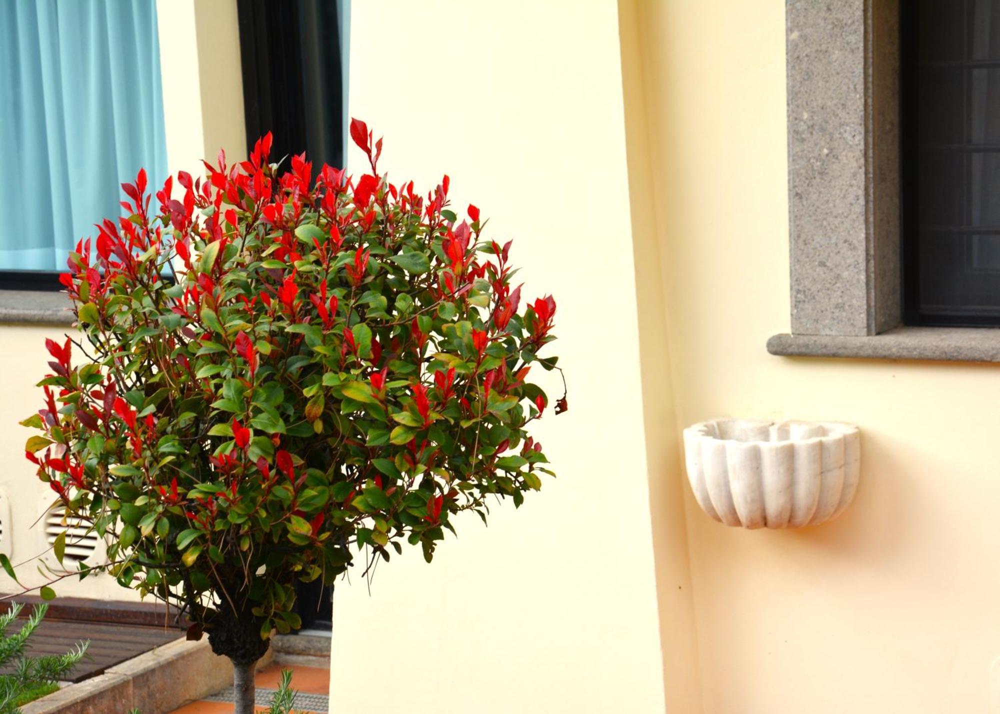 Gemelli Hotel Rome Buitenkant foto